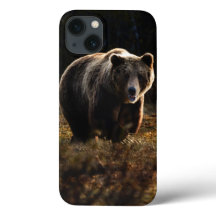 Bear iPhone 13 Fall