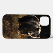 Bear iPhone 13 Fall Case-Mate iPhone Hülle (Rückseite (Horizontal))