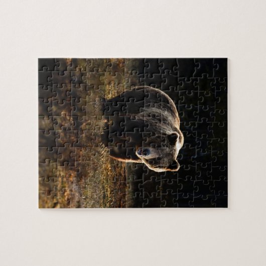 Bear Jigsaw Puzzle (Horizontal)