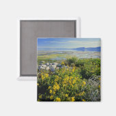 BEAR LAKE, UT, US, Affen-Blume & Katzenhai, Magnet (Vorderseite/Rückseite)
