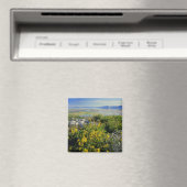 BEAR LAKE, UT, US, Affen-Blume & Katzenhai, Magnet (In Situ (Geschirrspüler))