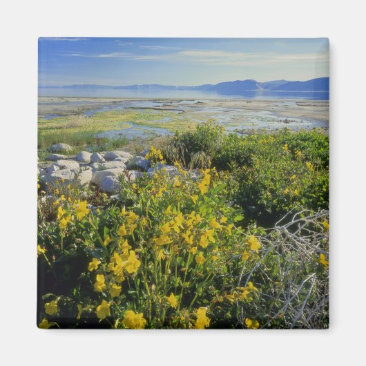 BEAR LAKE, UT, US, Affen-Blume & Katzenhai, Magnet (Vorne)