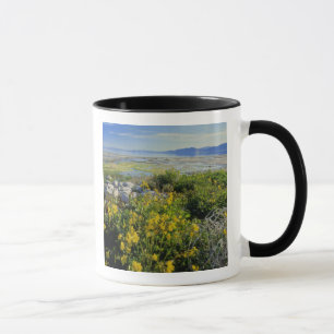 BEAR LAKE, UT, US, Affen-Blume & Krummling, Tasse