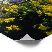BEAR LAKE, UT, US, monkey-flower & tumbleweed, Poster (Ecke)