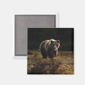 Bear Magnet (Vorderseite/Rückseite)