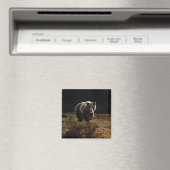 Bear Magnet (In Situ (Geschirrspüler))