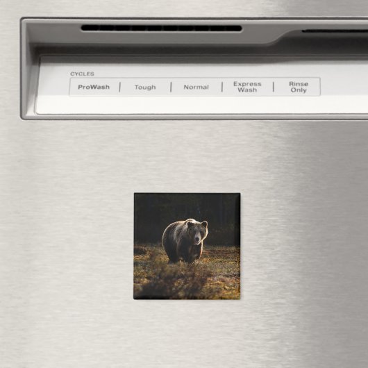Bear Magnet (In Situ (Geschirrspüler))