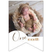 Bear Monthly 1. Geburtstag 12. Foto Wimpelkette (Dritte Fahne)