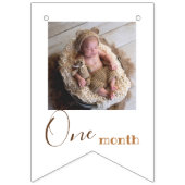 Bear Monthly Foto Erster Geburtstag Wimpelkette (Dritte Fahne)