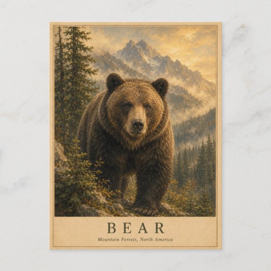Bear Mountain Wälder VINTAGE Postkarte (Vorderseite)