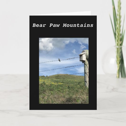 Bear Paw Mountains Card Karte (Vorderseite)