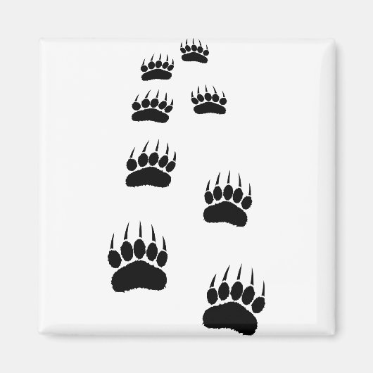 Bear Paw Prints Magnet (Vorne)