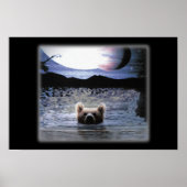 Bear Planet Poster (Vorne)