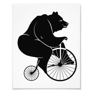 Bear Riding a Vintag Penny Farthing Bicycle Fotodruck