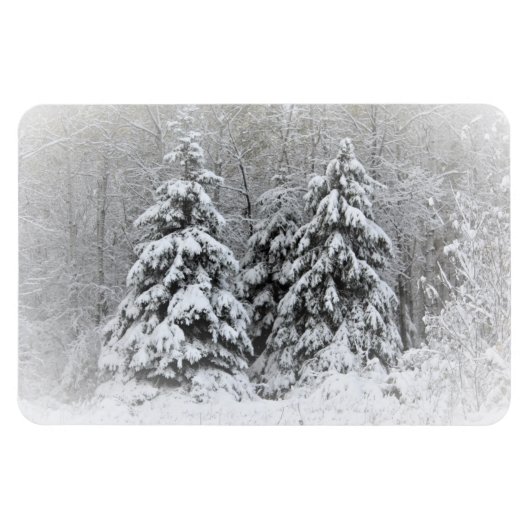 Bear River Perennial Gardens. Northen Minnesota Magnet (Horizontal)