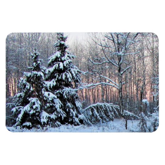 Bear River Perennial Gardens. Northen Minnesota Magnet (Horizontal)