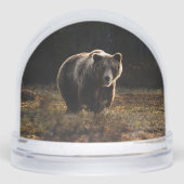 Bear Schneekugeln (Vorderseite)