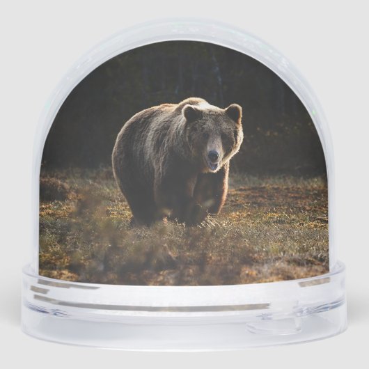 Bear Schneekugeln (Rückseite)