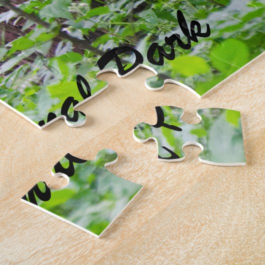 Bear - Shenandoah National Park Puzzle (Seite)