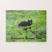 Bear - Shenandoah National Park Puzzle (Horizontal)
