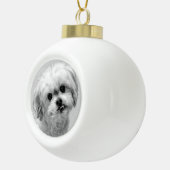 Bear the Malshi Christmas Ornament (Rechts)