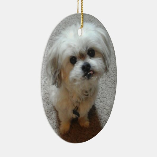 Bear the Malshi Oval Weihnachtsschmuck (Rechts)