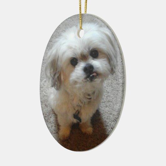 Bear the Malshi Oval Weihnachtsschmuck (Links)