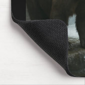 Bear Waterfall Mouse Pad Mousepad (Ecke)