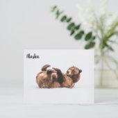 Bear Wildlife Alaska Postkarte (Stehend Vorderseite)