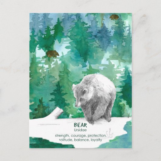 Bear Wildlife Forest Strength Förderung Postkarte (Vorderseite)