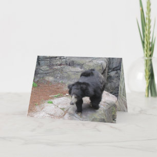 Bear-y-Happy Fun Lovin' Monkeying Rund um den Gebu Karte