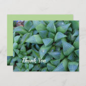 Bearbeitbar Vielen Dank Succulent Pflanze 4.25"x5" (Vorne/Hinten)