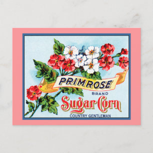 Bearbeitbare Primel-Blumen Vintage-Kisten-Kunst Postkarte