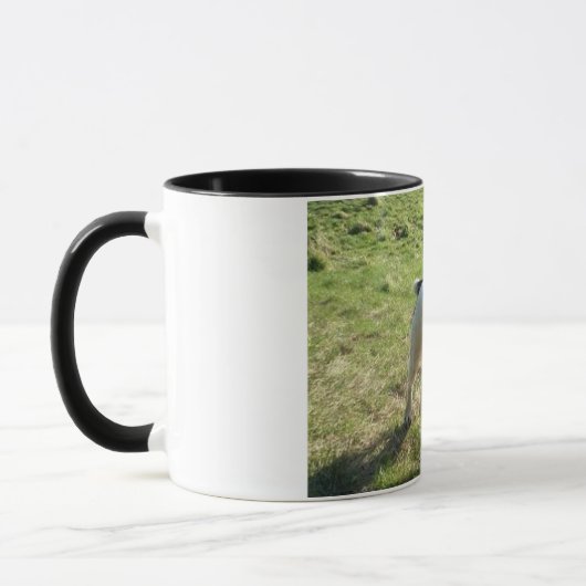 Bearbeitbare Tasse mit Foto und Text (Links)