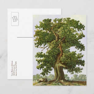 Bearbeitbare Vintage-Eichenbaum-Postkarte Postkarte
