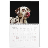 Bearbeitbarer 20xx-Hunde-Kalender Kalender (Feb 2026)