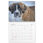Bearbeitbarer 20xx-Hunde-Kalender Kalender (Jan 2026)
