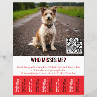Bearbeitbares Fundhundplakat mit QR-Code und Abrei Flyer