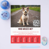 Bearbeitbares Fundhundplakat mit QR-Code und Abrei Flyer (Einzeln)