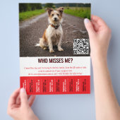 Bearbeitbares Fundhundplakat mit QR-Code und Abrei Flyer (Hand)
