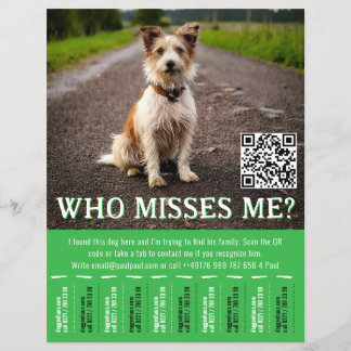 Bearbeitbares Gefunden-Hund-Plakat mit QR-Code und Flyer