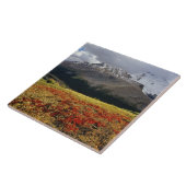 Bearberry im Frühherbst Athabasca Peak in Fliese (Seite)