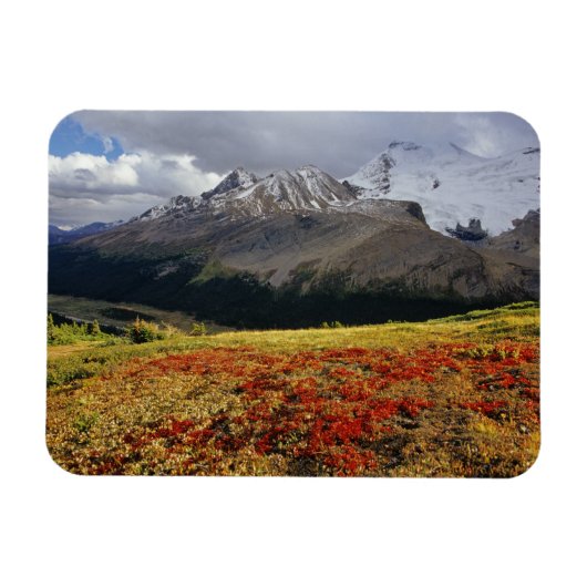 Bearberry im Frühherbst Athabasca Peak in Magnet (Horizontal)