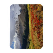 Bearberry im Frühherbst Athabasca Peak in Magnet (Vertikal)