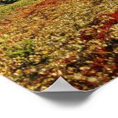 Bearberry im Frühherbst Athabasca Peak in Poster (Ecke)