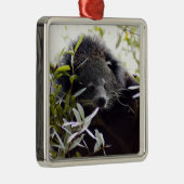 Bearcat-Weihnachtsverzierung Silbernes Ornament (Rechts)
