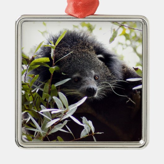 Bearcat-Weihnachtsverzierung Silbernes Ornament (Vorne)