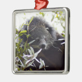Bearcat-Weihnachtsverzierung Silbernes Ornament (Links)