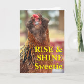 Bearded Chicken Close-Up Photograph Karte (Vorderseite)