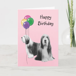 Bearded Collie, Birthday Balloons Karte